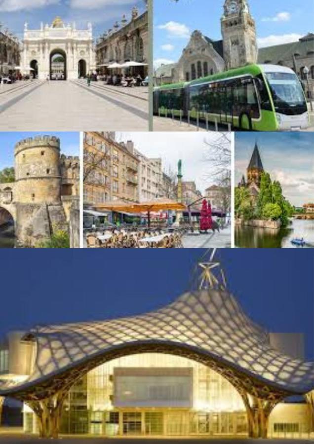 ميتز Le Muse Quartier Ville Proche Transport Parking Prive Un-Sejour-A-Part المظهر الخارجي الصورة